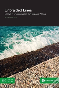 Capa do artigo Unbraided Lines