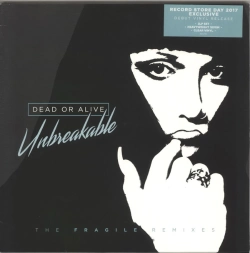Capa do artigo Unbreakable - The Fragile Remixes - Vinil