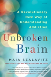 Capa do artigo Unbroken Brain