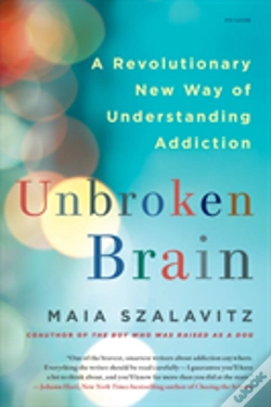 Capa do artigo Unbroken Brain