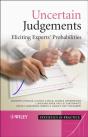 Uncertain Judgements - Preview
