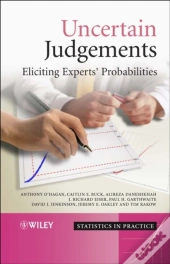 Uncertain Judgements