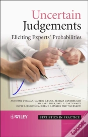 Capa do artigo Uncertain Judgements