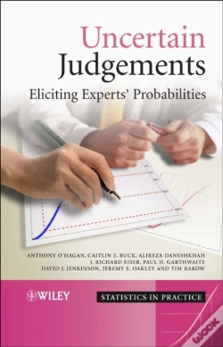 Capa do artigo Uncertain Judgements