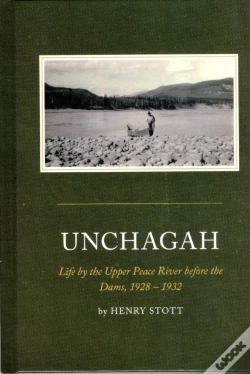 Capa do artigo Unchagah