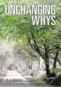 Unchanging Whys - Preview