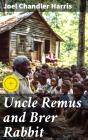 Uncle Remus And Brer Rabbit - Preview