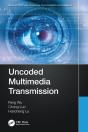 Uncoded Multimedia Transmission - Preview