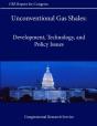 Unconventional Gas Shales: Development, Technology, And Policy Issues - Preview