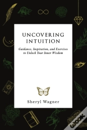 Capa do artigo Uncovering Intuition