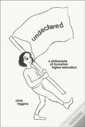Capa do artigo Undeclared