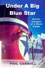Capa do artigo Under A Big Blue Star