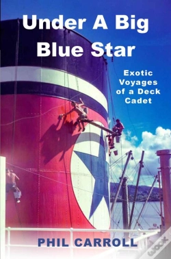 Capa do artigo Under A Big Blue Star