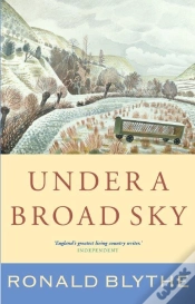 Capa do artigo Under A Broad Sky