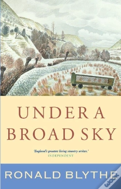 Capa do artigo Under A Broad Sky