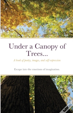 Capa do artigo Under A Canopy Of Trees...
