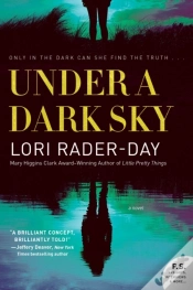Capa do artigo Under A Dark Sky