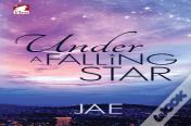Under A Falling Star