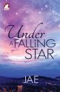 Under A Falling Star - Preview