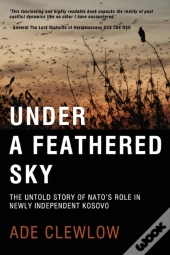 Under A Feathered Sky
