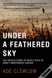Capa do artigo Under A Feathered Sky