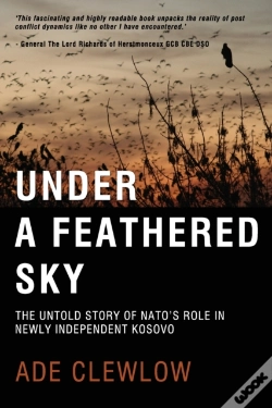 Capa do artigo Under A Feathered Sky
