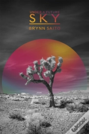 Capa do artigo Under A Future Sky