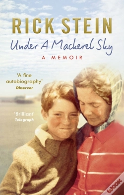 Capa do artigo Under A Mackerel Sky
