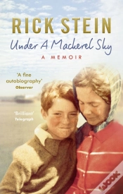Capa do artigo Under A Mackerel Sky