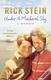 Capa do artigo Under A Mackerel Sky