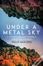 Capa do artigo Under A Metal Sky