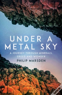 Capa do artigo Under A Metal Sky