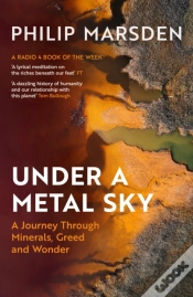 Capa do artigo Under A Metal Sky