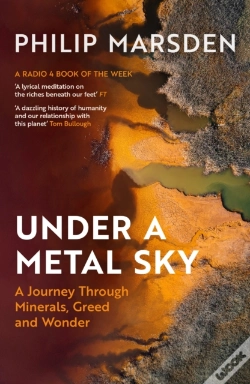 Capa do artigo Under A Metal Sky