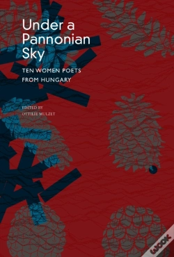 Capa do artigo Under A Pannonian Sky