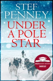 Capa do artigo Under A Pole Star