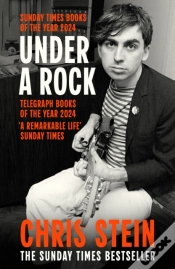Capa do artigo Under A Rock