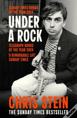 Capa do artigo Under A Rock