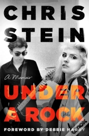 Capa do artigo Under A Rock