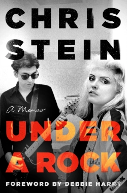 Capa do artigo Under A Rock