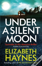 Capa do artigo Under A Silent Moon