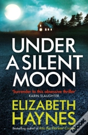 Capa do artigo Under A Silent Moon