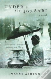 Capa do artigo Under A Tin Grey Sari