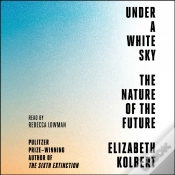 Capa do artigo Under A White Sky