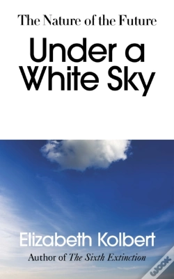 Capa do artigo Under A White Sky