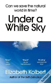 Capa do artigo Under A White Sky