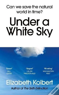 Capa do artigo Under A White Sky