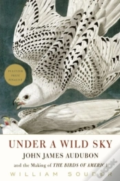Capa do artigo Under A Wild Sky