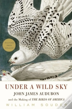 Capa do artigo Under A Wild Sky