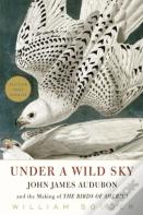 Under A Wild Sky